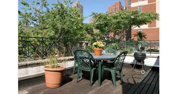 308 East 92nd: Terrace