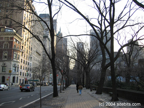 central park ny. next to Central Park.