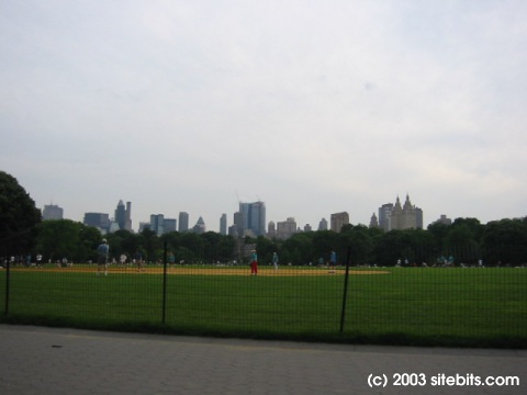 Central Park - View from Great Lawn