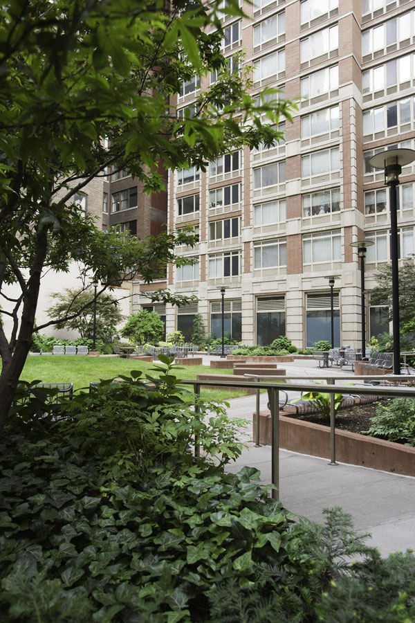 Madison Belvedere: Courtyard