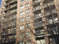 The Wilshire: General View