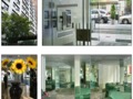 The Peter Stuyvesant: Collage
