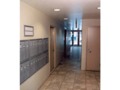 49-51 Ludlow street: Hall