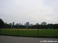 Central Park - View from Great Lawn