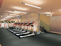 The Helena Fitness Club