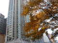 Marc NY: Building