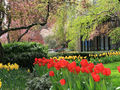 The Andover: Landscape garden