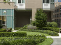 Sessanta : Garden