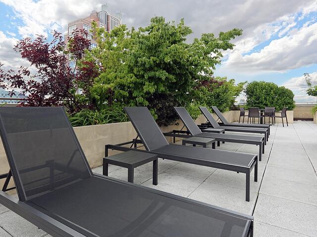 1-Bedroom at The Somerset