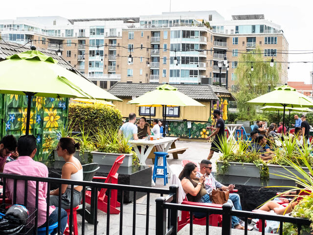 Discover Jersey City's vibrant entertainent and recreation scene.