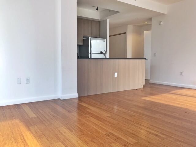 1-Bedroom at 66 Rockwell Place
