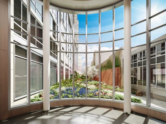 Studio at Hayden