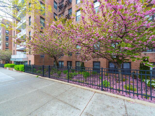 Studio at The Cambridge