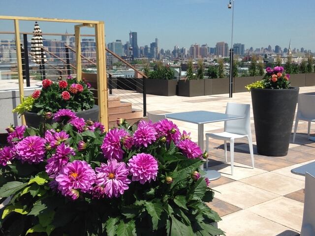 Studio at 101 Bedford Avenue