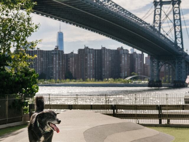 1-Bedroom at One South 1st