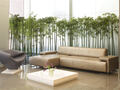 Sessanta : Lobby