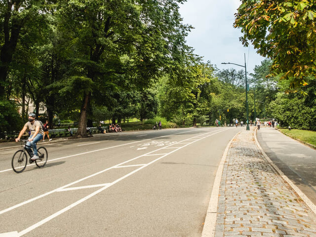 Venture through the trails in Central Park.