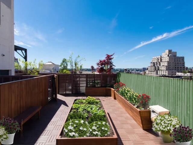 1-Bedroom at Greystone