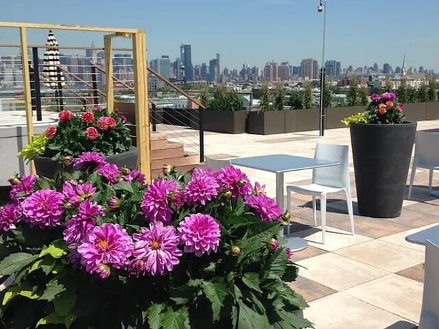 Studio at 101 Bedford Avenue