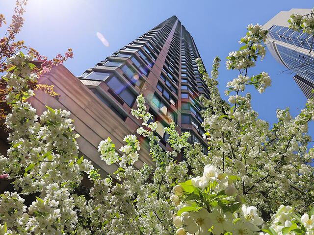 1-Bedroom at Paramount Tower