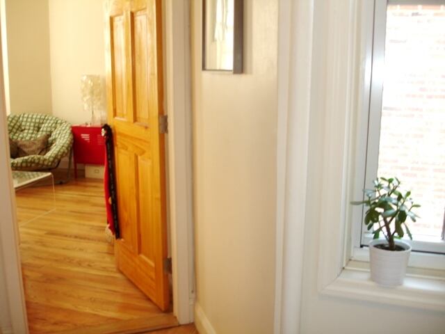 1-Bedroom at 230 Thompson Street