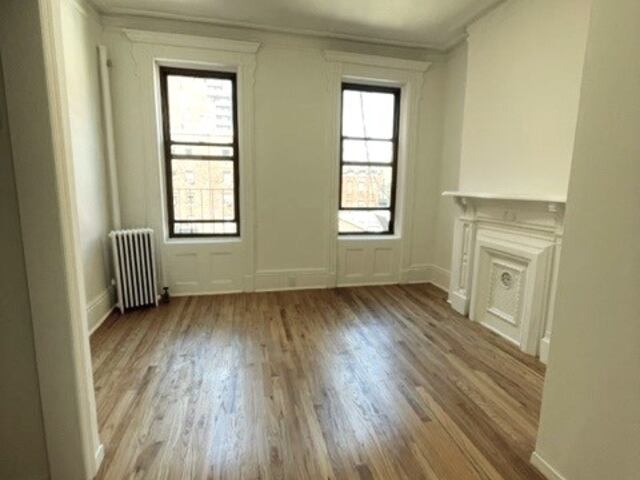 1-Bedroom at 521 Hudson Street