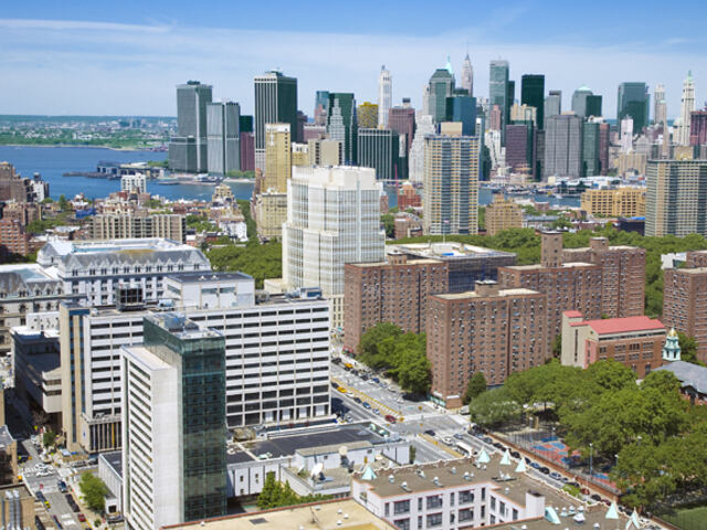 Avalon Fort Greene - Fort Greene