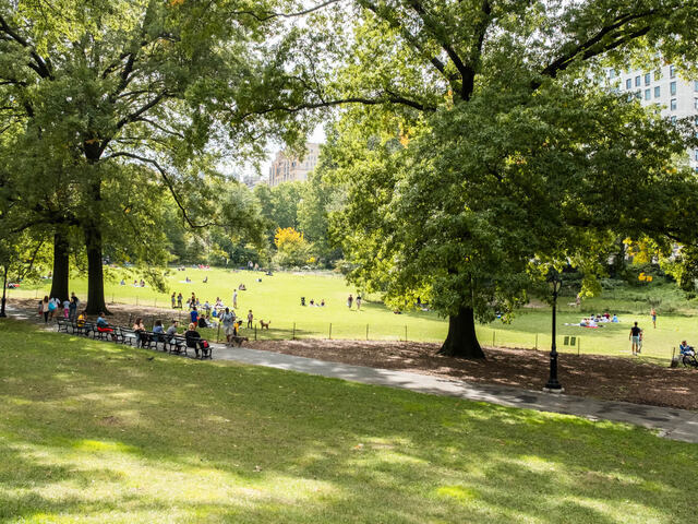Retreat to Central Park, just a few blocks away.