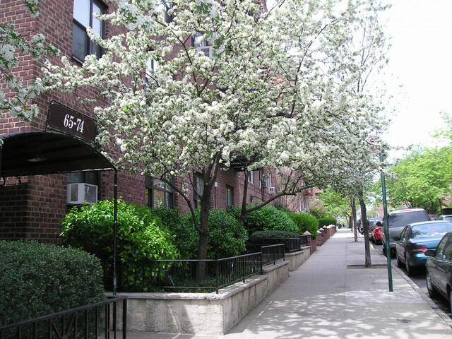 1-Bedroom at Wetherole