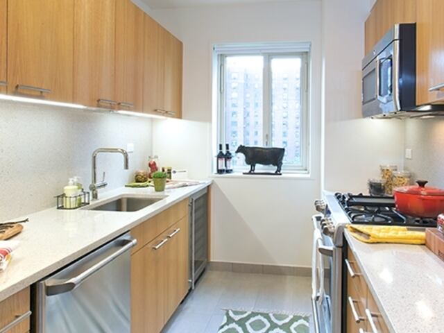 1-Bedroom at Peter Cooper Village: 541 East 20th