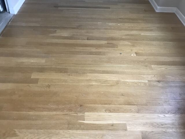 1-Bedroom at Yorkshire Towers