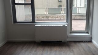1-Bedroom at Regency Towers (Manhattan)