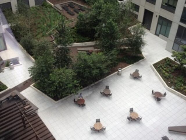 1-Bedroom at The Aldyn