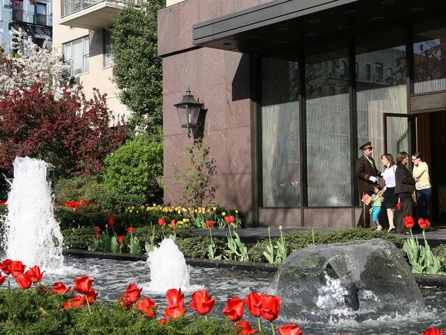 1-Bedroom at The Andover