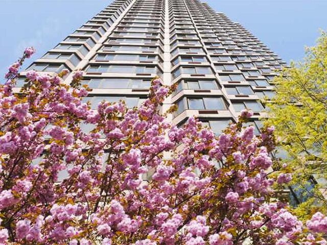 1-Bedroom at Paramount Tower