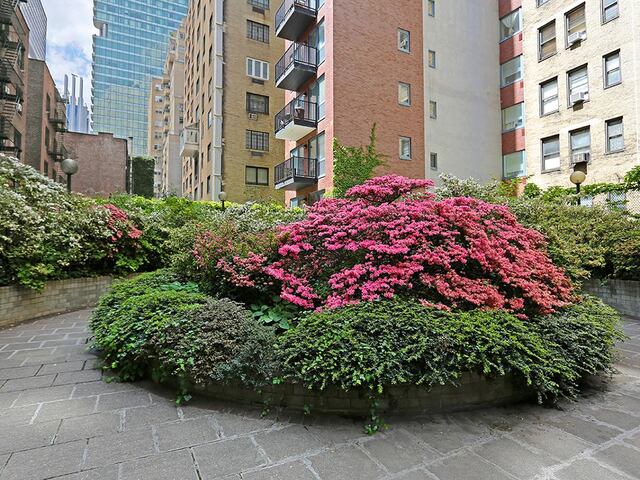 1-Bedroom at The Bamford