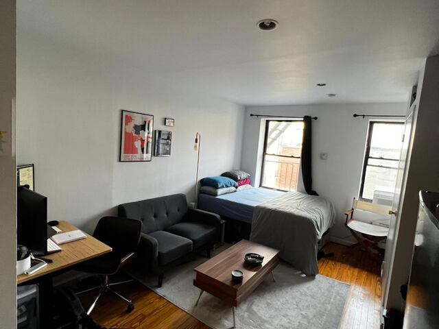 Studio at 203 Chrystie Street