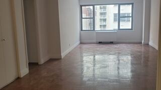 1-Bedroom at Regency Towers (Manhattan)