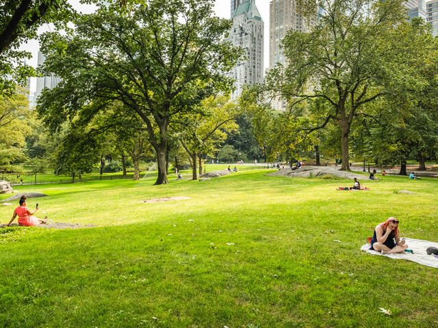 Retreat to Central Park for a relaxing break from the big city.