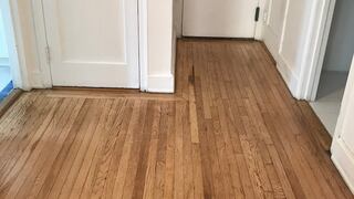 Studio at Dryden East (Manhattan)