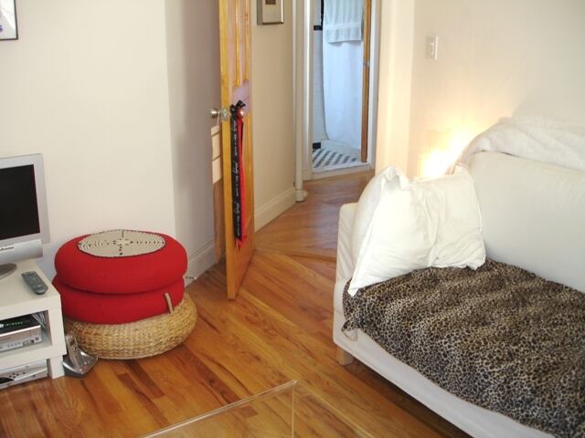 1-Bedroom at 230 Thompson Street