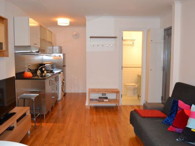 1-Bedroom at 312 Bowery