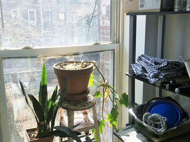 Studio at 444 Halsey Street