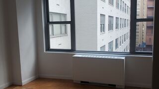 1-Bedroom at Regency Towers (Manhattan)