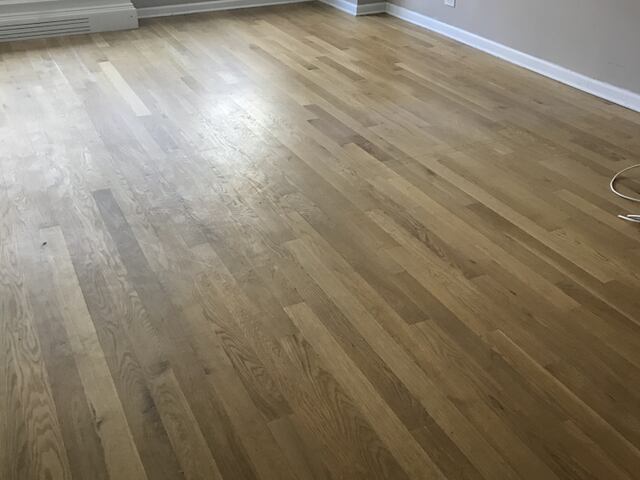1-Bedroom at Yorkshire Towers