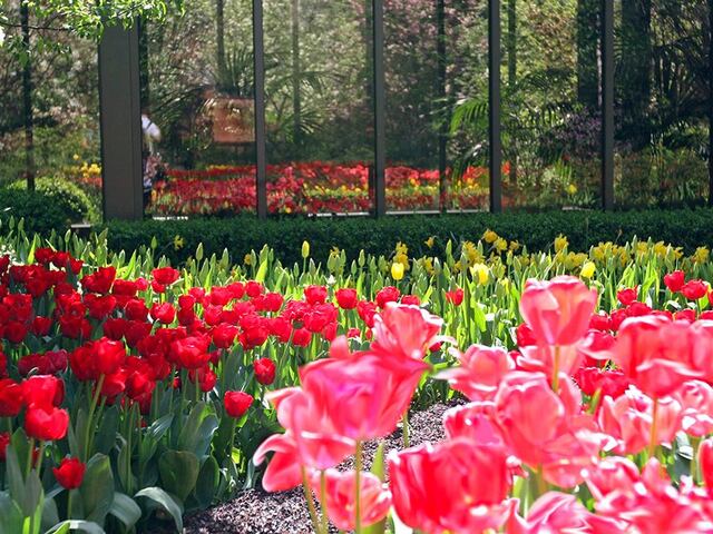 3-Bedroom at Hampton Court