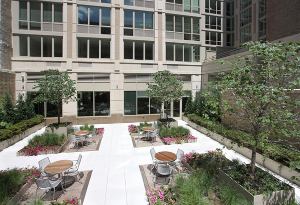 1510 Lexington: Pocket Park