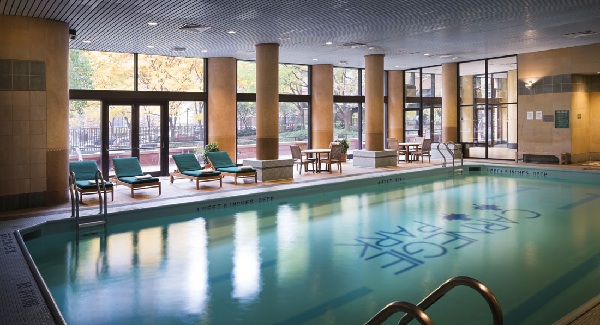 Carnegie Park: Pool