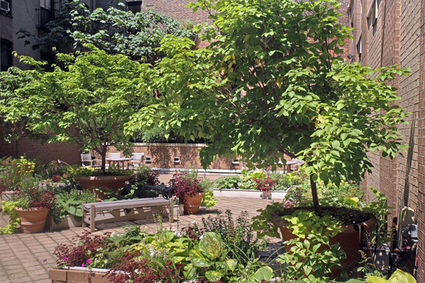 Soho Court: Garden (1)