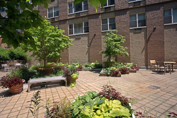 Soho Court: Garden (2)